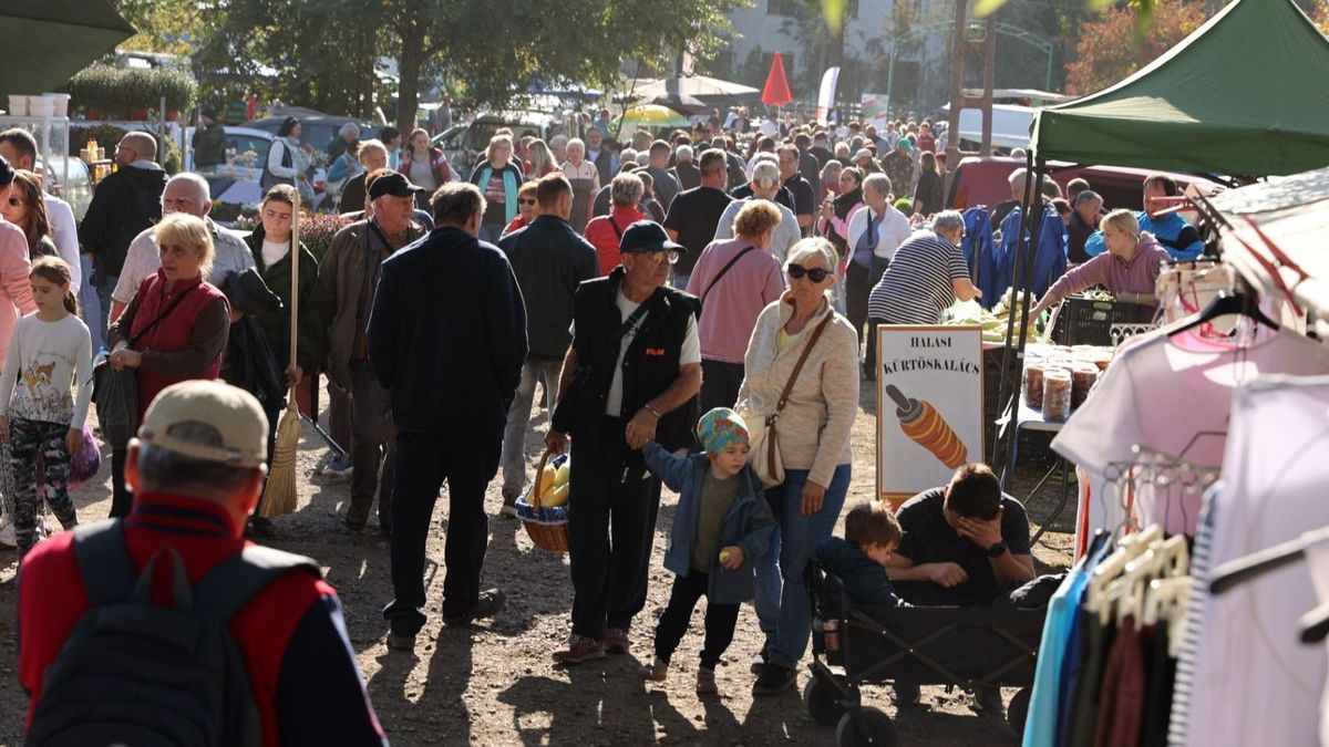 Kerékért ment, végül a sajátját is eladta – különös üzletek a kisteleki vásárban + fotók, videó