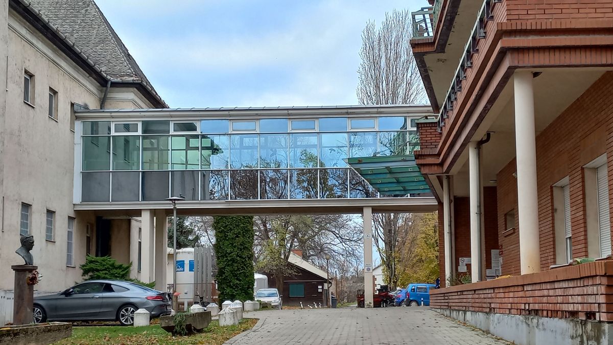 Évtizedekkel a halála után sem felejtették el a makói orvost, most különleges ötlettel álltak elő