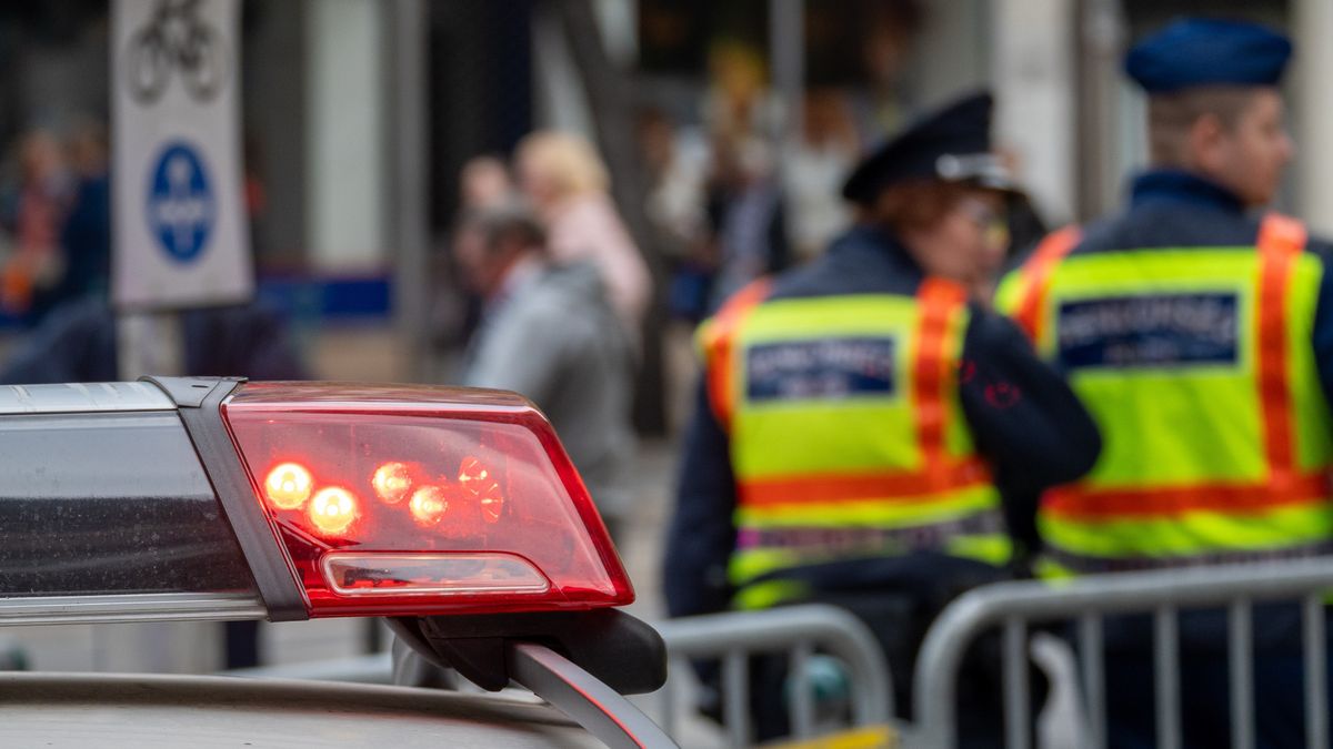 Napok óta nem találják a 16 éves lányt, barna kabátban látták utoljára + fotó